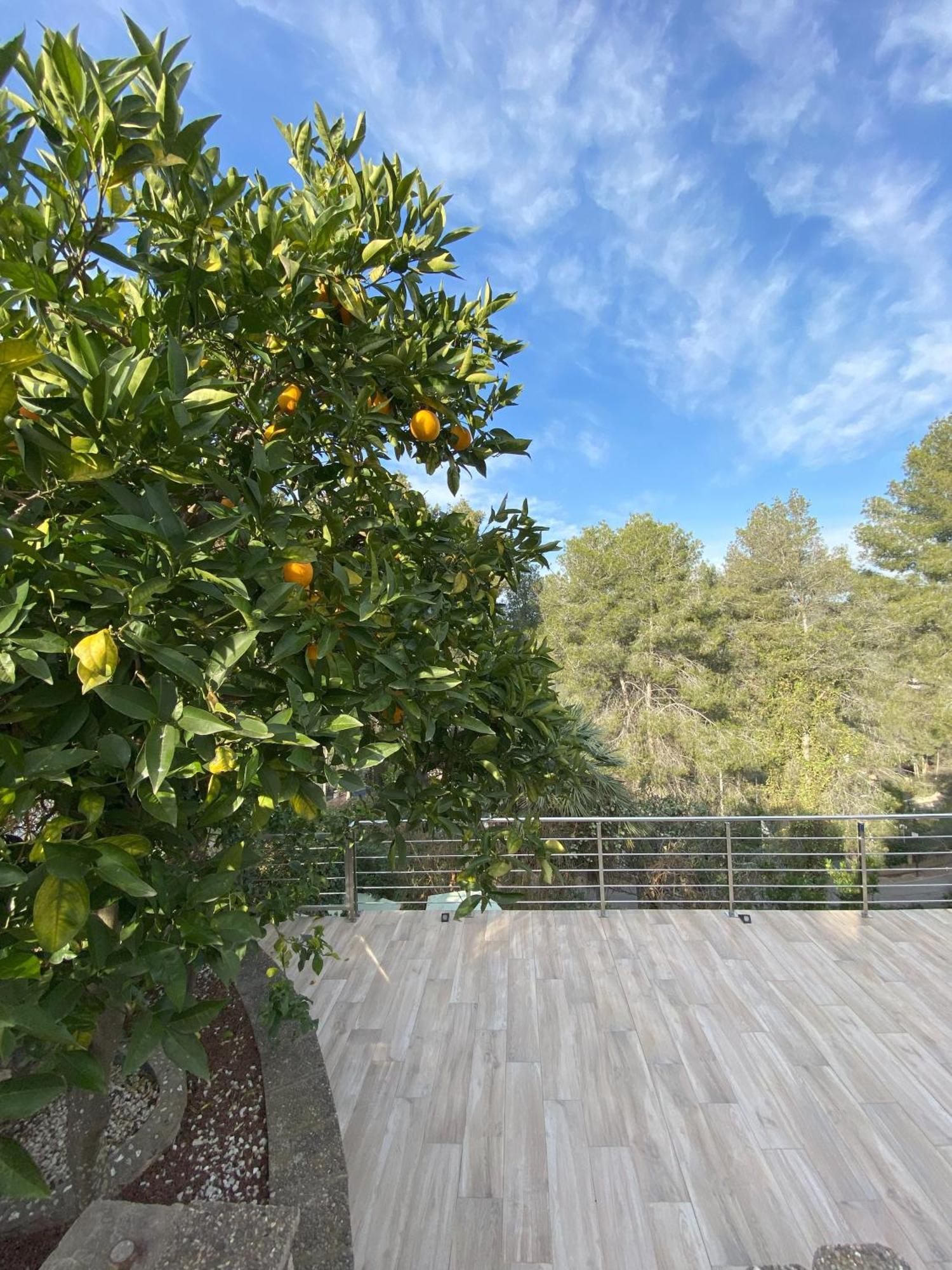 Villa Avril Piscina Privada Y Amplias Terrazas Olivella Εξωτερικό φωτογραφία